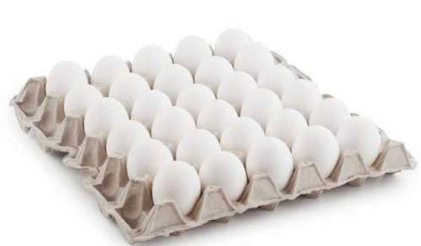 Egg Tray 